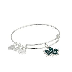Alex and Ani BeLeaf in Yourself Bangle Bracelet Shiny Silver 2018